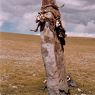 The sacred pillar. Note the heads of livestock attached to the pillar as appeasement offerings.