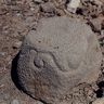 Engraved scrollwork on a stone at Korön (<i>ko ron</i>).