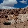 A relatively intact wall fragment.