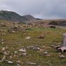 The west half of the pillar array. The tallest in situ pillar of the site is in the foreground and the appended edifice is in the background.