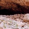 The remains of the structure that barricaded the southern cave mouth.