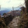 Path from Puje to village