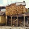 Three bay maize rack, 'mokai suli', beside House27