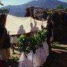 Three 'plah' covered in white cloth 'pae lava' with bunches of leaves at the top waiting to be dressed. Men unwinding the 'gyan'