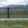 The westside of the new fence around the wetland, August 2004.