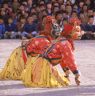 The hunter's two dogs (Sha ba sha khyi 'cham), Paro Tshechu (tshes bcu), dance arena, Paro Tshechu (tshes bcu), 2nd day