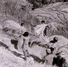 Paddy stalks are bundled and piled in a mound