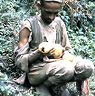 A Jaisi Bahun (high caste) examining jackfruit