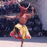 Dance of the Stag (Sha tsam), Paro Tshechu (tshe bcu), 4th day