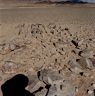 Looking east from the site. What remains of the appended structure is the scattering of stones in the foreground.