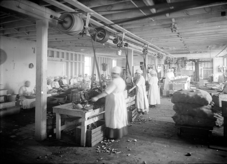 Charlottesville Canning Factory