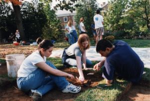 Archaeology dig