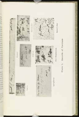 Click to Enlarge Page Plate 1