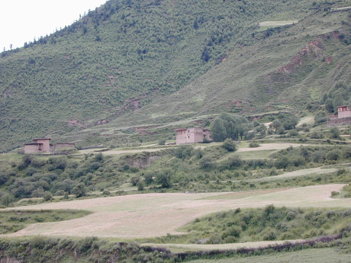 Tibetan Houses. 