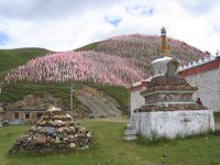 (Untitled)