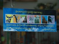 Sign promoting vegetarianism in Lhagang.
