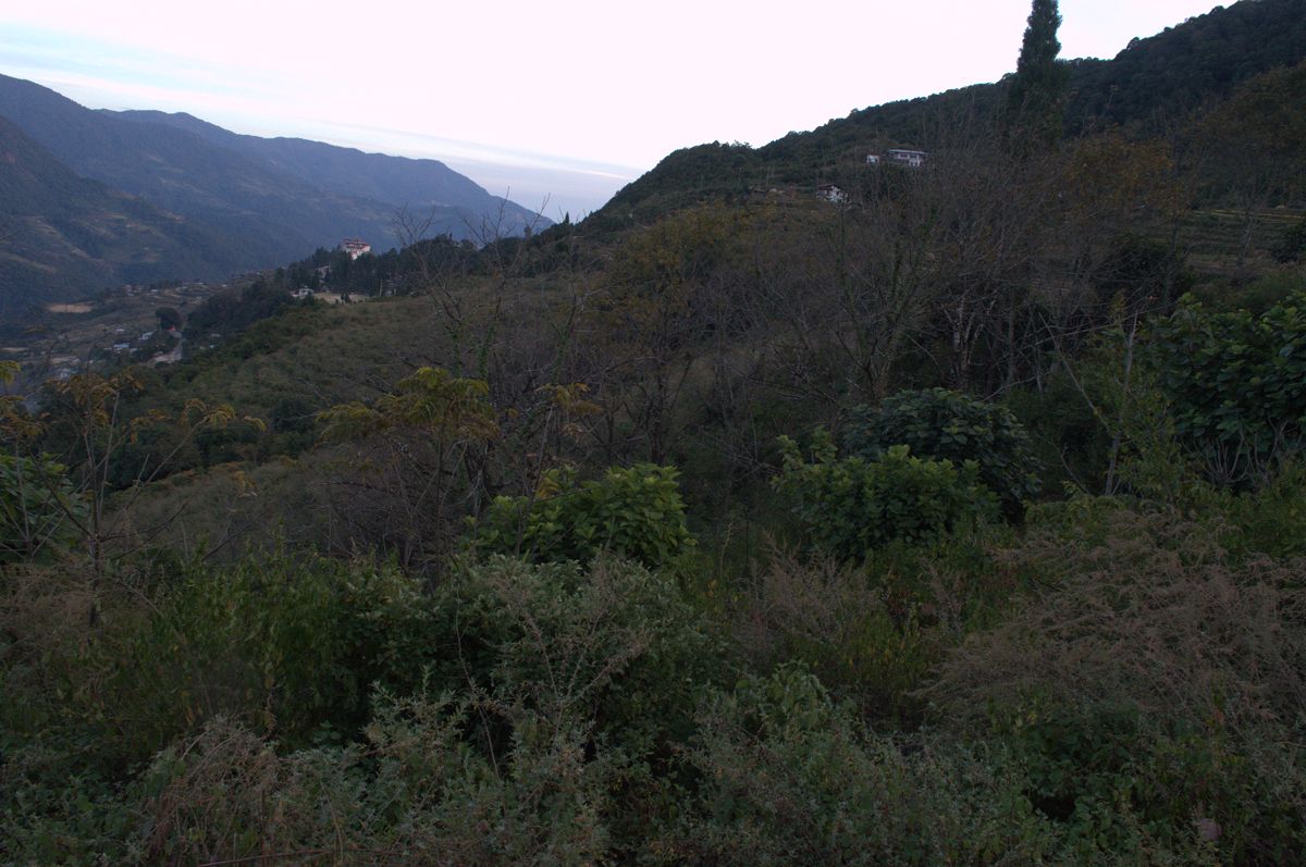 The Dagana Trashi Yangtse dzong can be seen from the Tsangleykha ...