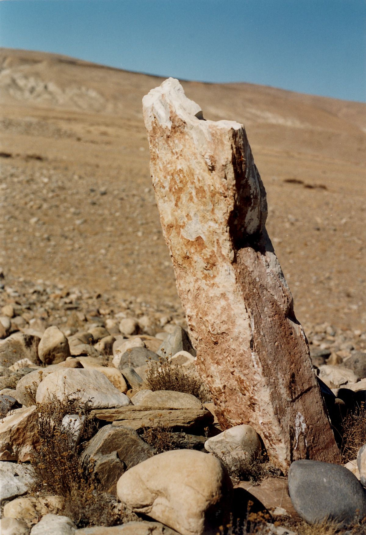 The large pillar (longstone DR2) in the south section of the enclosure