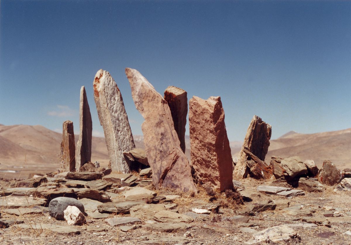 The site’s pillars. Note the different alignments and spatial ordering ...