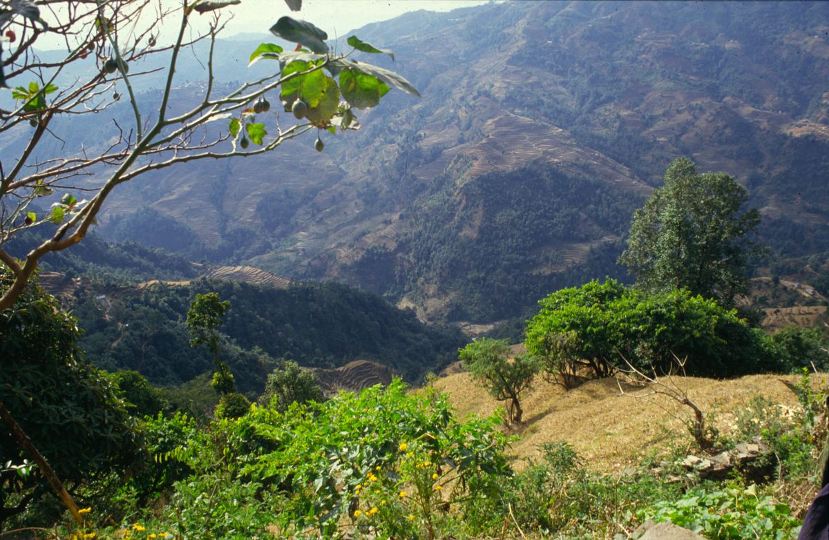 view from the Blacksmiths' village | Mandala Collections - Images